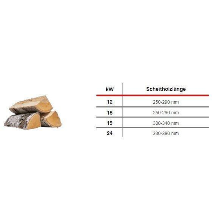 fro Firewood Plus Vergaser | Scheitholz