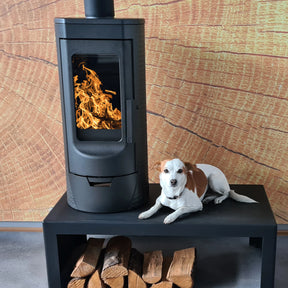 Moderner Gusskaminofen, raumluftunabhängig für effiziente und sichere Wärme in Ihrem Zuhause